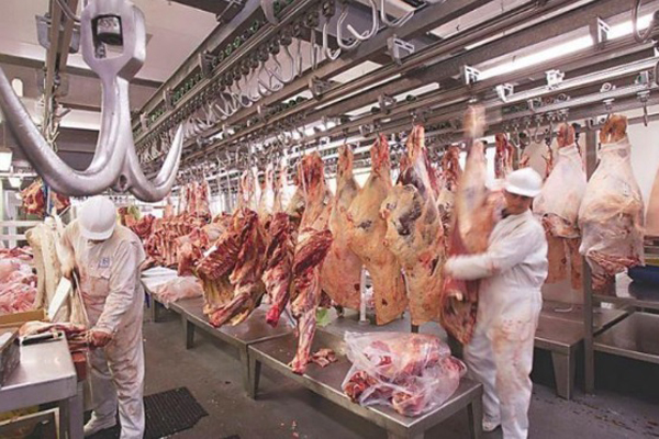 Nueva Declaración Jurada de Exportaciones de Carne (DJEC)