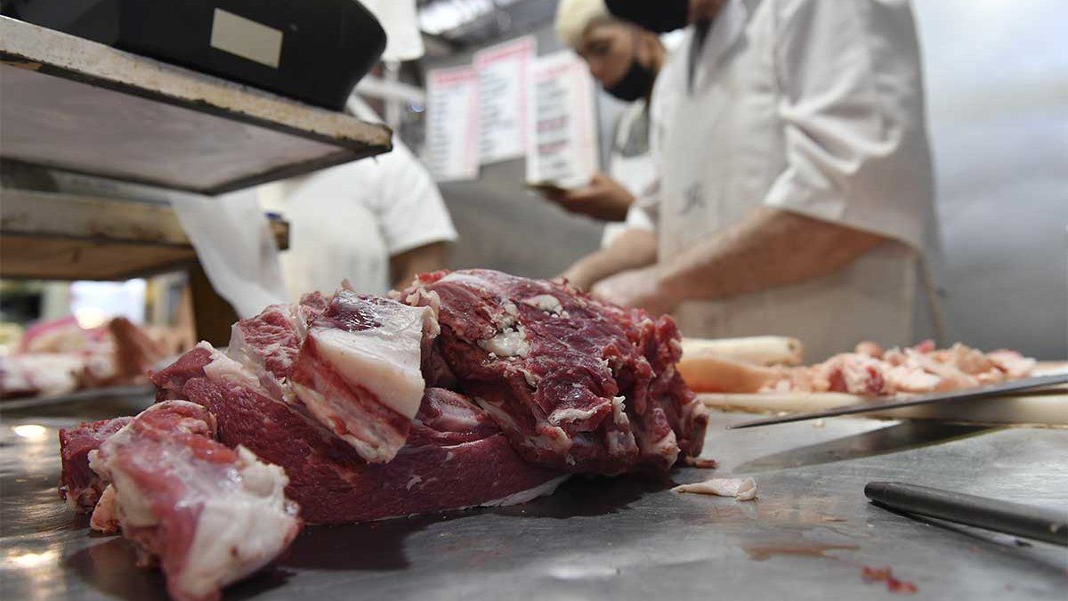 Se suspenden las Declaraciones Juradas de Exportaciones de Carne (DJEC)